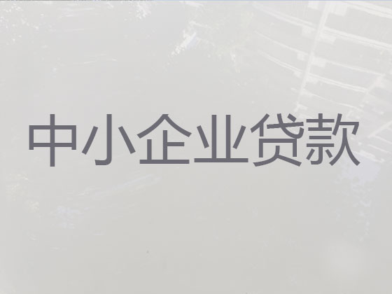 阿拉善盟企业银行信用贷款